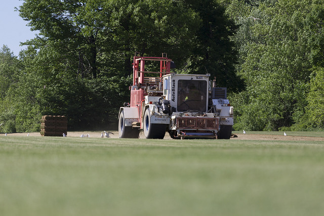 Greenhorizons Grass Turf Green Lawn Install