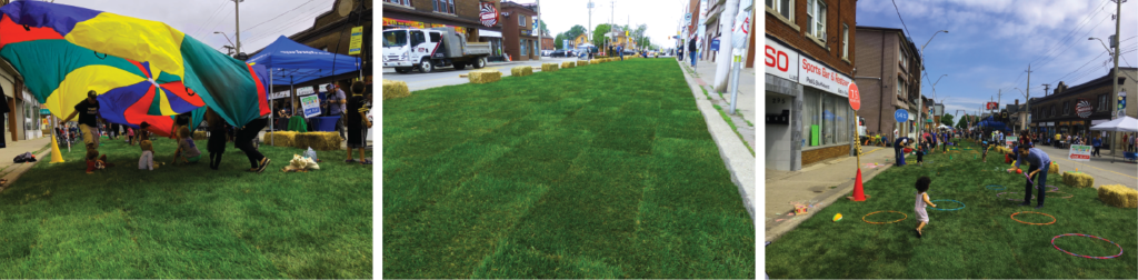 Farm Fresh Sod Grass Turf Green Lawn Install